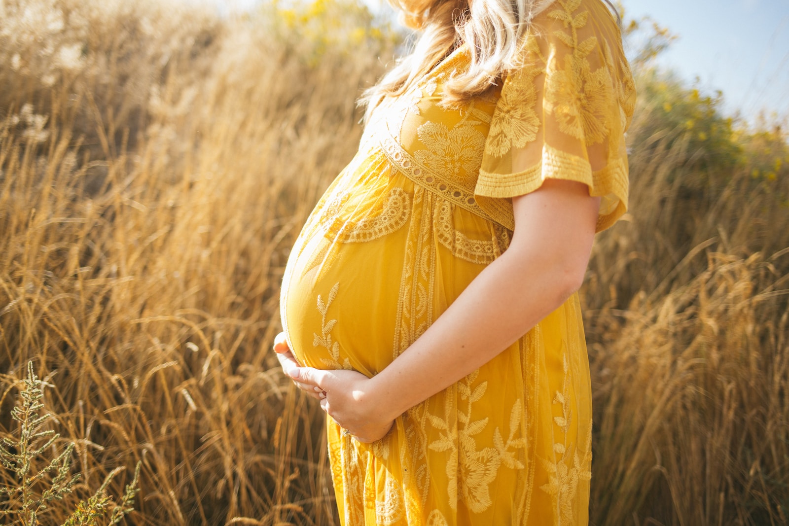 All The Pregnancy Tips A Working Mom Should Follow Wellness